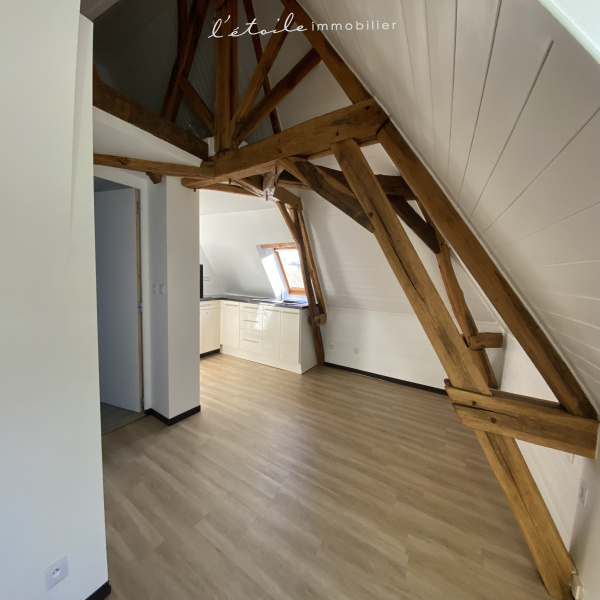 Offres de location Appartement Moulins-la-Marche 61380